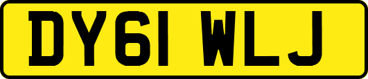 DY61WLJ