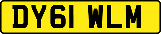 DY61WLM