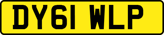 DY61WLP