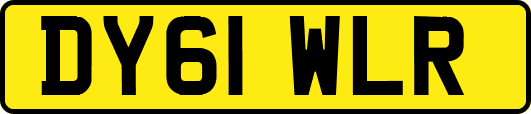 DY61WLR