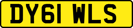DY61WLS