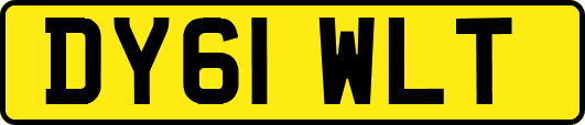 DY61WLT