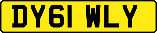 DY61WLY