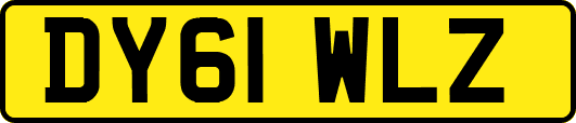 DY61WLZ