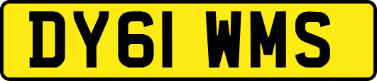 DY61WMS