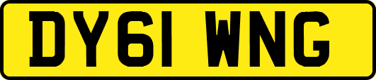 DY61WNG