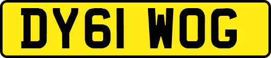 DY61WOG