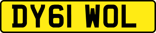 DY61WOL