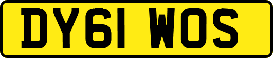 DY61WOS