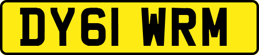 DY61WRM