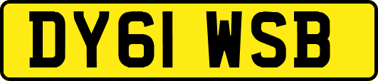 DY61WSB