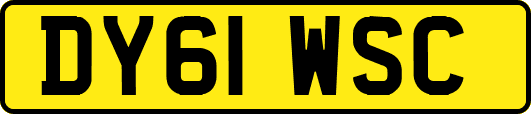 DY61WSC