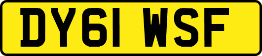 DY61WSF