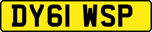 DY61WSP