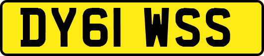 DY61WSS
