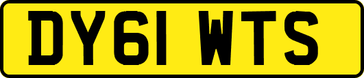 DY61WTS
