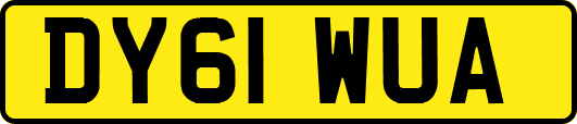 DY61WUA
