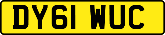 DY61WUC