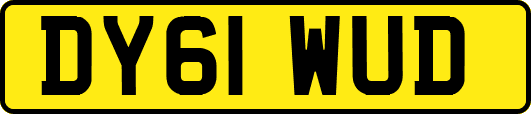 DY61WUD