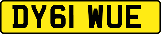 DY61WUE