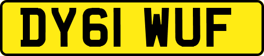 DY61WUF