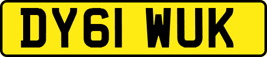 DY61WUK
