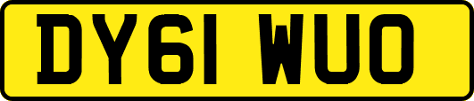 DY61WUO