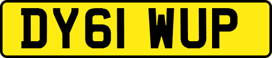 DY61WUP