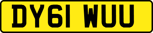 DY61WUU