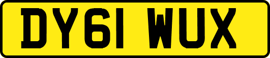 DY61WUX