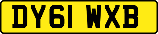 DY61WXB