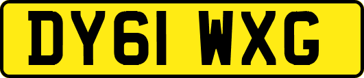 DY61WXG