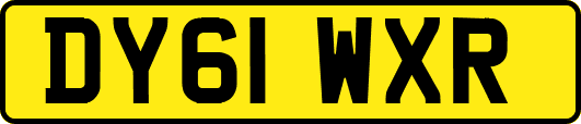 DY61WXR