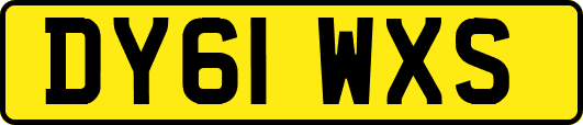 DY61WXS