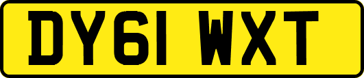 DY61WXT
