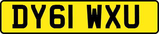 DY61WXU
