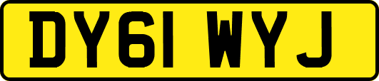 DY61WYJ
