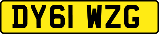 DY61WZG