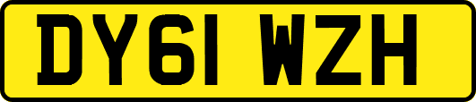DY61WZH
