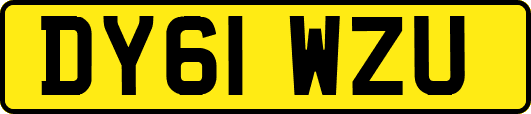 DY61WZU