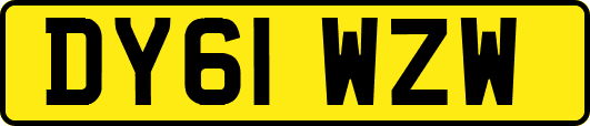 DY61WZW