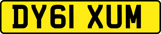 DY61XUM