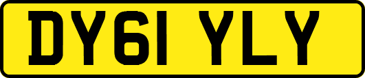 DY61YLY