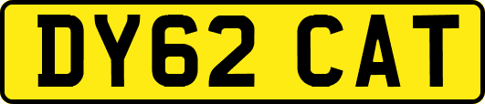 DY62CAT