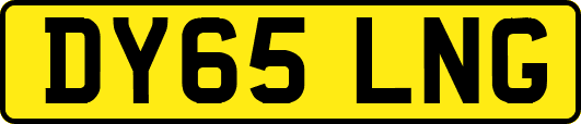 DY65LNG