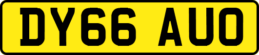 DY66AUO