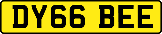 DY66BEE
