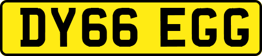 DY66EGG