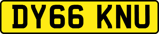 DY66KNU