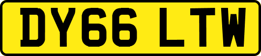 DY66LTW